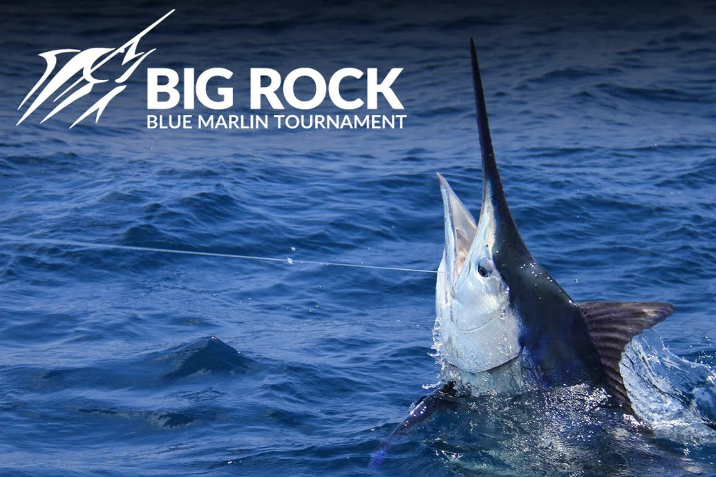 The Breakers Set Their Sights on Big Rock